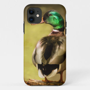Mallard Duck Case-Mate iPhone Hülle