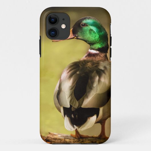Mallard Duck Case-Mate iPhone Hülle (Rückseite)
