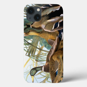 Mallard Duck Case-Mate iPhone Hülle