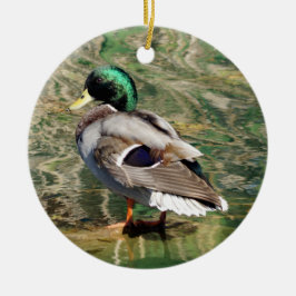 Mallard Duck Christmas Ornament