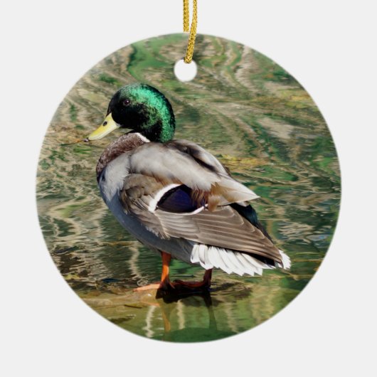 Mallard Duck Christmas Ornament (Vorne)