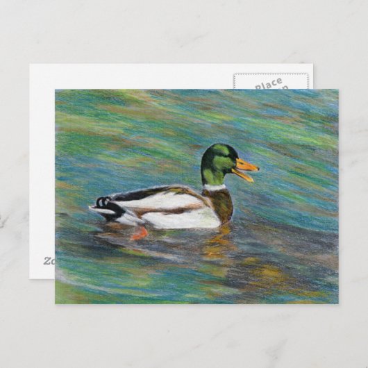 Mallard Duck Colored Pencil Zeichnend Postkarte (Vorne/Hinten)