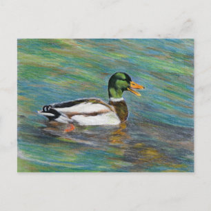 Mallard Duck Colored Pencil Zeichnend Postkarte