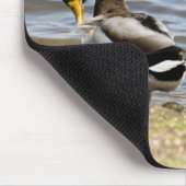 Mallard Duck Couple Mousepad (Ecke)