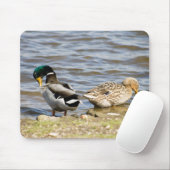 Mallard Duck Couple Mousepad (Mit Mouse)