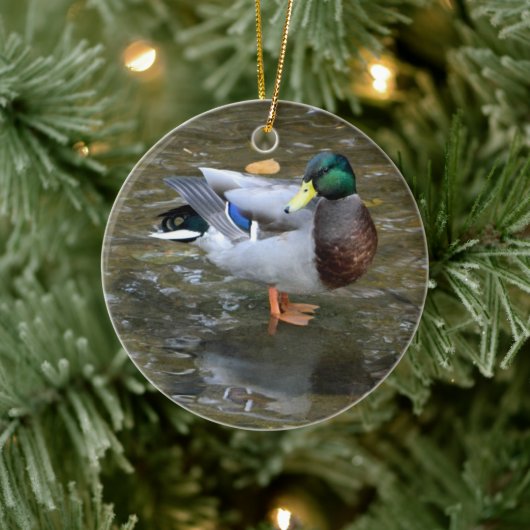 Mallard Duck (Creek) Ornament (Baum)