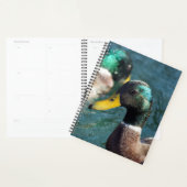 Mallard Duck Daisy Weekly/Monthly Planner Planer (Anzeige)