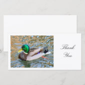 Mallard Duck - Danke (Vorne/Hinten)