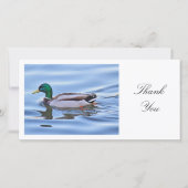 Mallard Duck - Danke (Vorderseite)