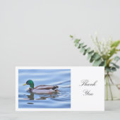 Mallard Duck - Danke (Stehend Vorderseite)