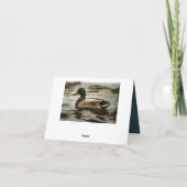 Mallard Duck Dankeskarte (Rückseite)