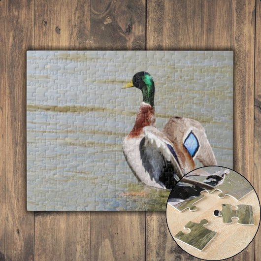Mallard Duck Diamond Puzzle