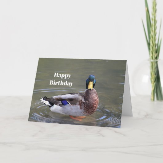 Mallard Duck Drack Water Foto Geburtstag Karte (Vorderseite)
