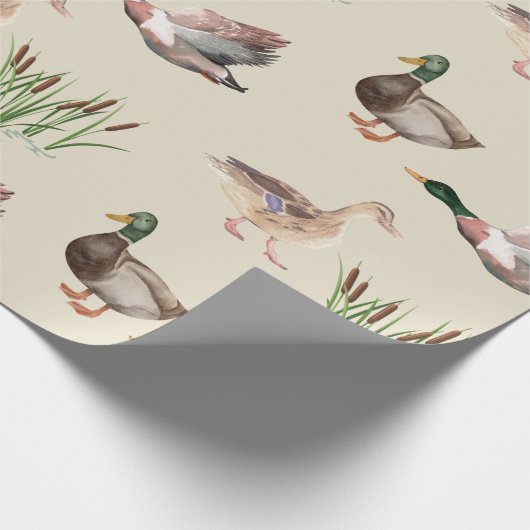 Mallard Duck Drake and Hen Wrapping Paper Geschenkpapier (Ecke)