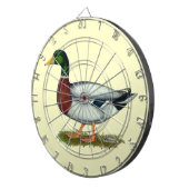 Mallard Duck Drake Dartscheibe (Vorderseite rechts)