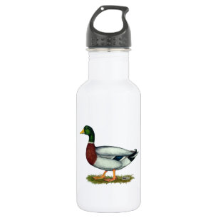 Mallard Duck Drake Edelstahlflasche