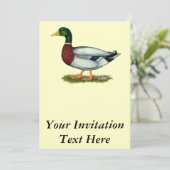 Mallard Duck Drake Einladung (Stehend Vorderseite)