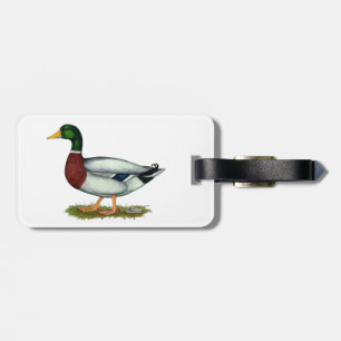Mallard Duck Drake Gepäckanhänger