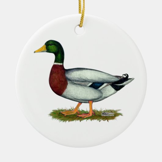 Mallard Duck Drake Keramik Ornament (Vorne)