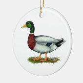 Mallard Duck Drake Keramik Ornament (Links)