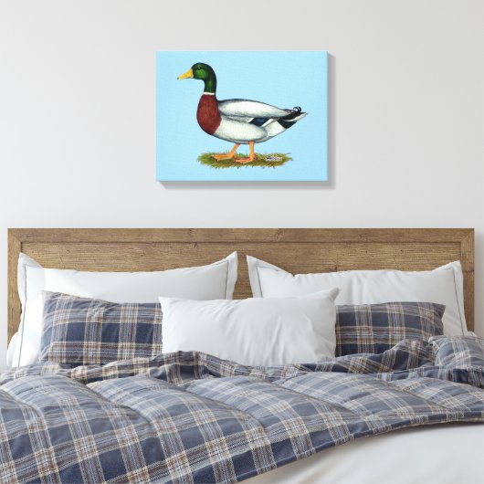 Mallard Duck Drake Leinwanddruck (Insitu (Schlafzimmer))