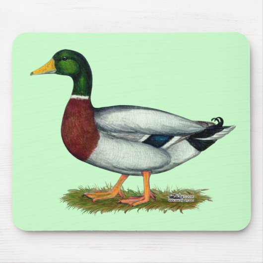 Mallard Duck Drake Mousepad (Vorne)