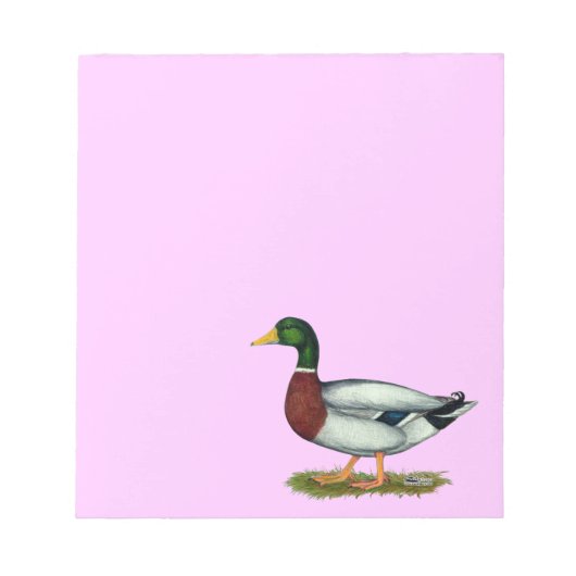 Mallard Duck Drake Notizblock (Vorderseite)
