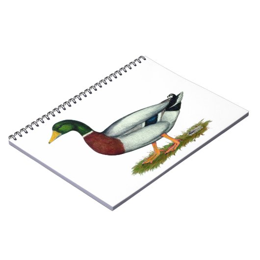 Mallard Duck Drake Notizblock (Linke Seite)