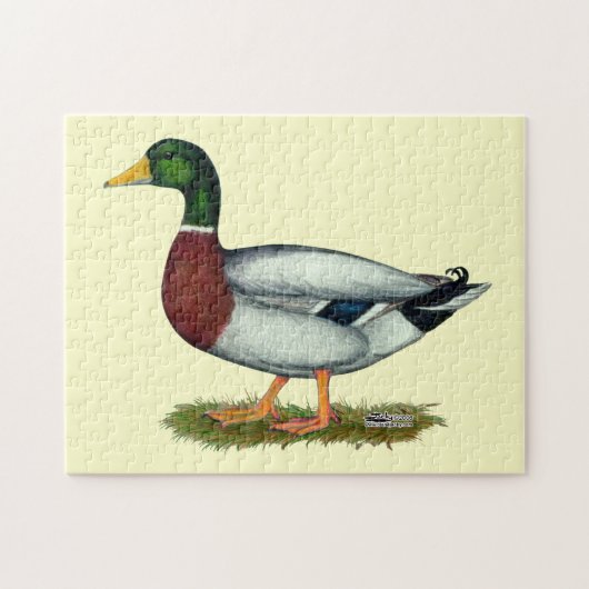 Mallard Duck Drake Puzzle (Horizontal)