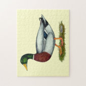 Mallard Duck Drake Puzzle (Vertikal)