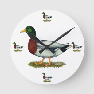 Mallard Duck Drake Runde Wanduhr