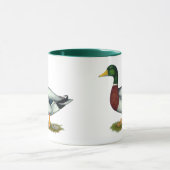 Mallard Duck Drake Tasse (Zentrum)