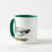 Mallard Duck Drake Tasse (Vorderseite Links)