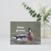 Mallard Duck Drake Water Foto Geburtstag Postkarte (Stehend Vorderseite)