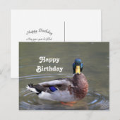 Mallard Duck Drake Water Foto Geburtstag Postkarte (Vorne/Hinten)