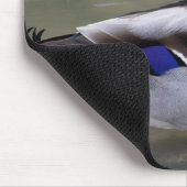 Mallard Duck Drake Water Foto Mousepad (Ecke)