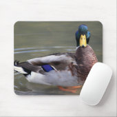 Mallard Duck Drake Water Foto Mousepad (Mit Mouse)