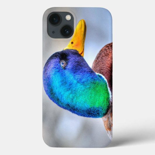 Mallard Duck Drake Wildlife Portrait Case-Mate iPhone Hülle (Rückseite)
