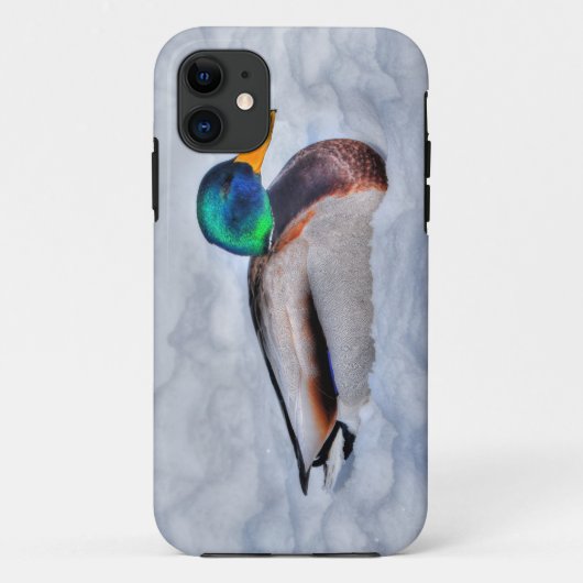 Mallard Duck Drake Wildlife Portrait Case-Mate iPhone Hülle (Rückseite)