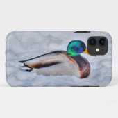 Mallard Duck Drake Wildlife Portrait Case-Mate iPhone Hülle (Rückseite (Horizontal))