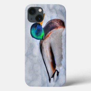 Mallard Duck Drake Wildlife Portrait Case-Mate iPhone Hülle