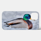 Mallard Duck Drake Wildlife Portrait Case-Mate iPhone Hülle (Rückseite (Horizontal))