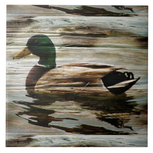 Mallard Duck Fliese (Vorderseite)