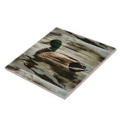 Mallard Duck Fliese (Seite)