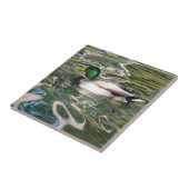 Mallard Duck Fliese (Seite)