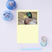 Mallard Duck Flyer (Einzeln)