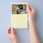 Mallard Duck Flyer (Handgriff)