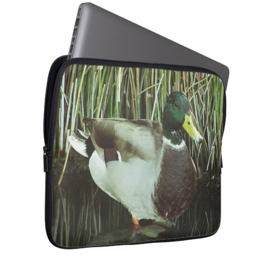 Mallard Duck Foto Ausgezeichnetes Male Lake Bird Laptopschutzhülle (Vorne Rechts)