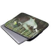 Mallard Duck Foto Ausgezeichnetes Male Lake Bird Laptopschutzhülle (Vorne Knopf)