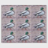 Mallard Duck Foto Geschenkpapier (Flach)
